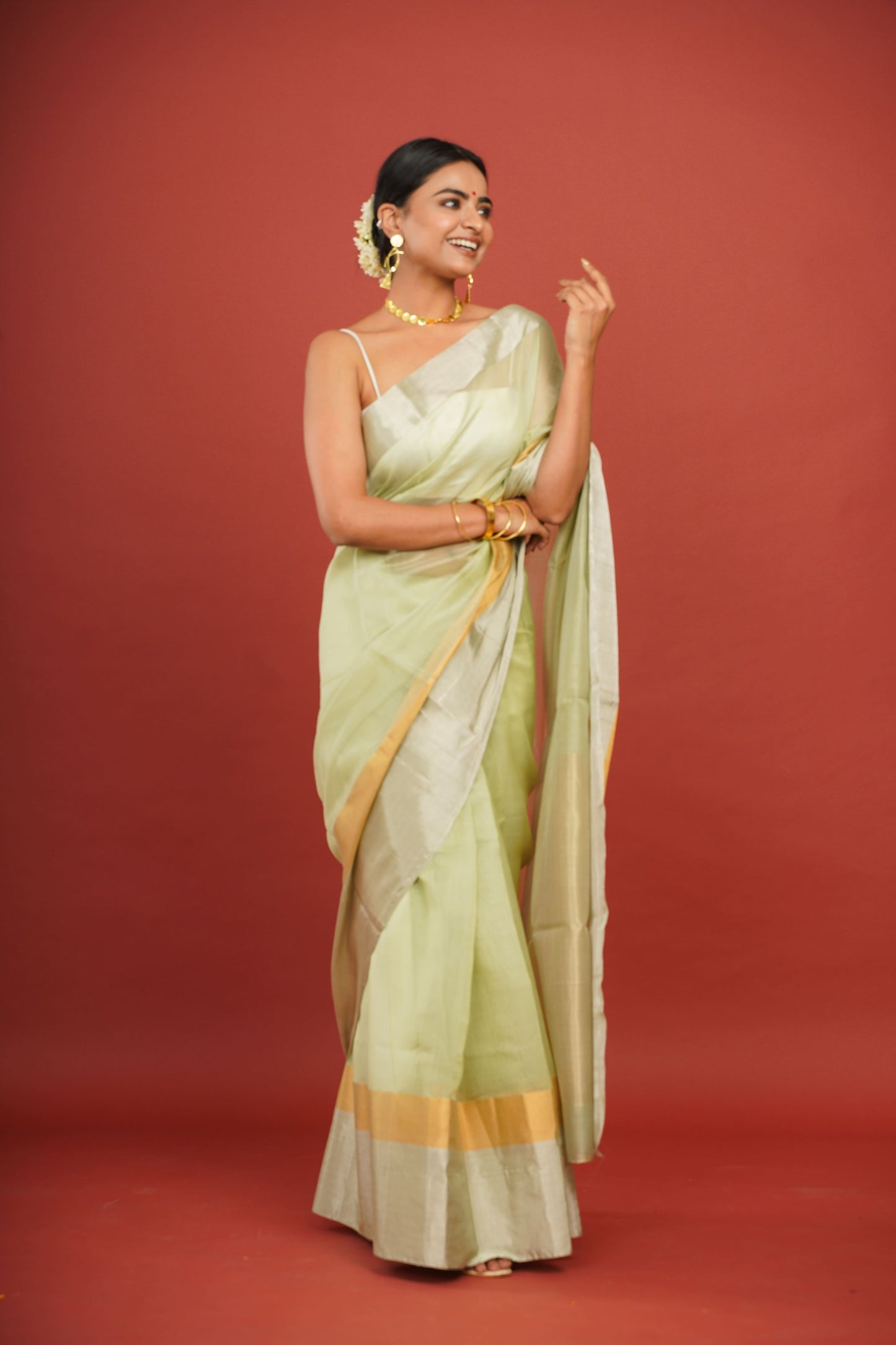 Pastel Green Cotton Silk Chanderi Saree with Dual Border